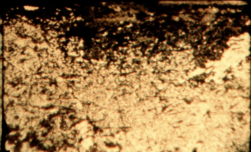 Capillari