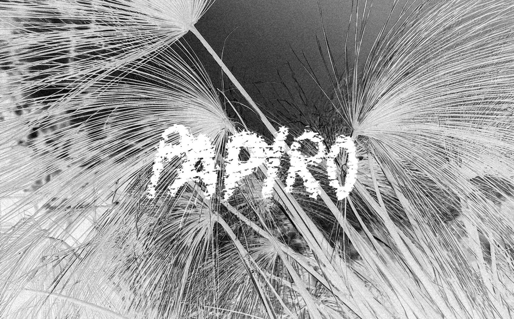 Papiro